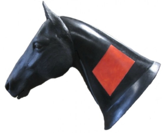 Koňsk&yacute; krk pro venepunkčn&iacute; a intramuskul&aacute;rn&iacute; injekt&aacute;ž-2